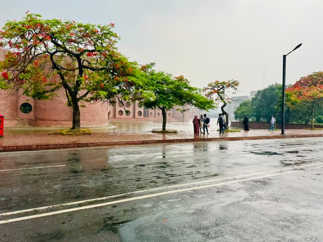 The image depicts an urban street scene during rainy weather. There are trees with sparse foliage lining one side of the road, and there is a clear wet sheen on the asphalt. A brick building with a rounded roof can be seen in the background on the left side. People are visible walking on the sidewalks, and it appears to be a quiet, overcast day with muted colors. The street looks relatively empty and calm.