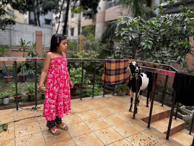 The image depicts a young girl standing on a balcony. She is wearing a pink dress and holding what appears to be an object in her right hand, although the exact nature of the object isn't clear. To her left, there is a small black goat with white markings on its face and chest, also standing on the balcony. The girl is looking towards the camera while the goat seems to be observing something off-camera. They are on an outdoor balcony which has some potted plants nearby. The balcony itself appears to be a part of a residential building with visible windows and other typical architectural elements.