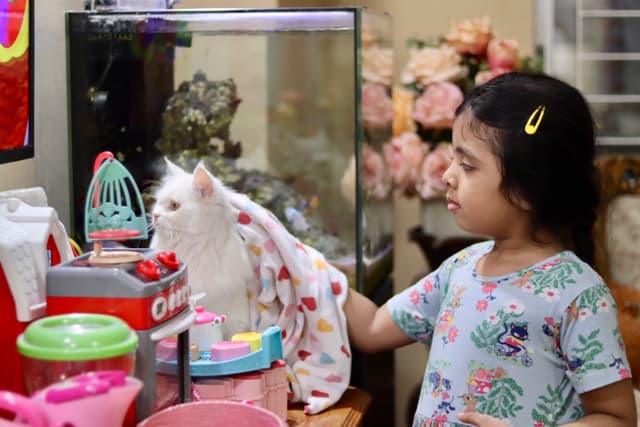 The image depicts a young child, likely a girl, standing next to an indoor glass tank containing a cat. The child appears to be interacting with the cat, as their hand is extended towards it. In front of them, on a table, there are various items including what looks like a toy or decorative item shaped like a bird and possibly some play-related objects. To the right, partially visible, is an adult's profile, but only their left side is shown. The background suggests this is taking place indoors in a domestic setting, with elements of daily life such as furniture and household items.