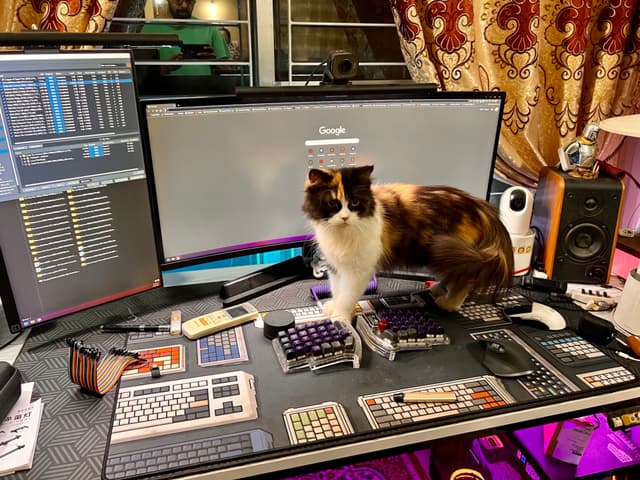 The image captures a scene of a home office setup. At the center of the frame, there's a cat sitting on a computer desk. The cat appears to be looking towards the viewer, adding a touch of life to the otherwise tech-focused environment.

The desk is equipped with various electronic devices and accessories. Multiple monitors are arranged in a semi-circle, suggesting a workspace designed for multitasking or managing multiple tasks at once. A keyboard and mouse are also visible on the desk, indicating active use of the computer.

In addition to the tech equipment, there's a plant adding a touch of greenery to the space. The background features a wall adorned with decorative items, providing a personal touch to the office setup.

Overall, the image portrays a modern and dynamic workspace where technology meets life in the form of pets.