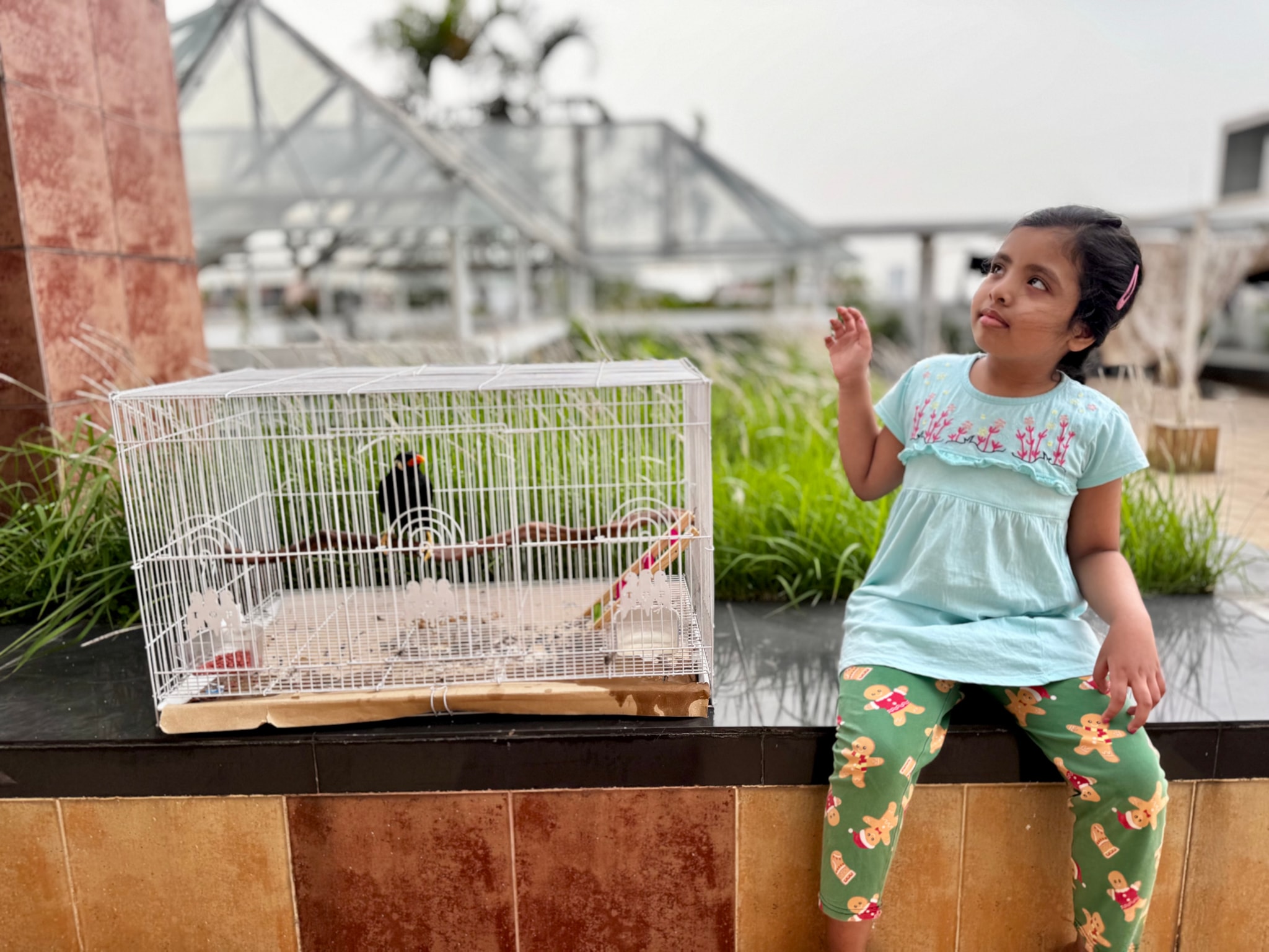 In the image, there is a young child sitting on a ledge and looking at a birdcage containing a single bird. The birdcage appears to be placed outdoors, as indicated by the surrounding environment and plants. The child seems to be interacting with the bird or showing interest in it. The setting suggests that this could be an educational or recreational activity for children, promoting awareness of birds or engaging them in nature exploration.