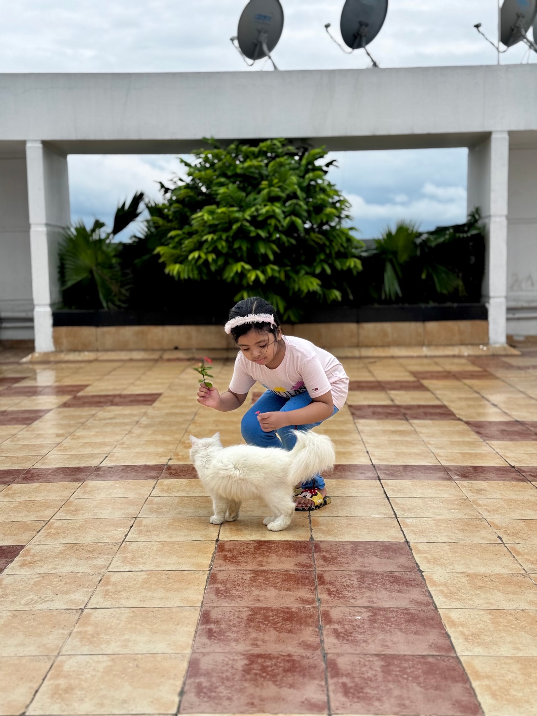 The image depicts a person squatting on the ground, holding what appears to be a small pet. They are near a large cat, and both seem engaged with each other. The person is wearing a light-colored shirt and shorts, and they have short hair. In the background, there's a covered area with plants and a bench under an umbrella. The surroundings suggest it might be a garden or outdoor patio of a building. There are also two satellite dishes visible in the upper left corner of the image.