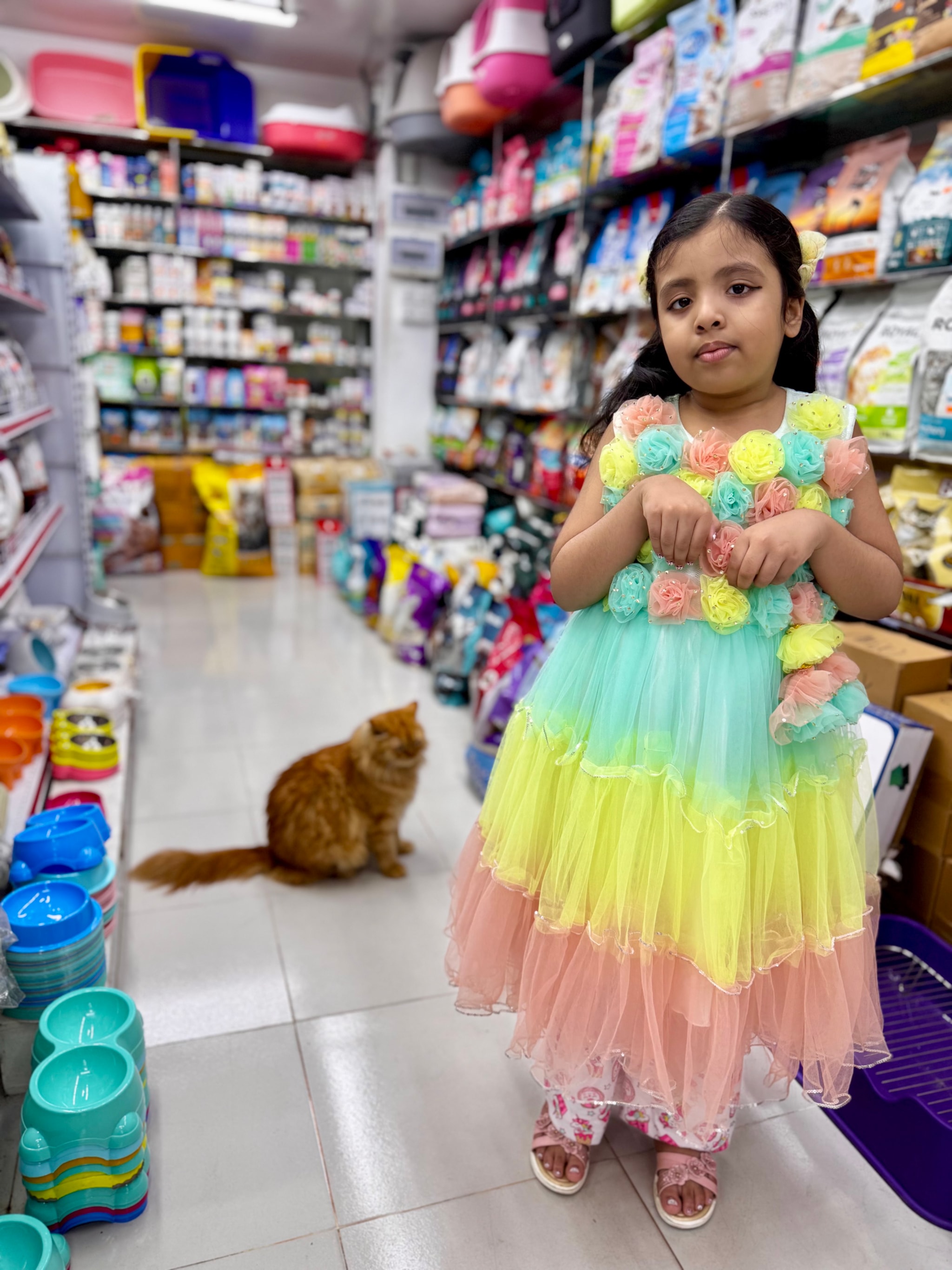 This image captures a heartwarm scene inside a store. The central figure is a young child, adorably dressed in a colorful ruffle dress, standing near a shelf filled with various items. The child appears to be holding a small toy in their hand, suggesting they might have just finished shopping or are about to.

In the background, there's an adult and a pet cat, adding a homely touch to the setting. The store is well-stocked, with shelves displaying various products such as bottles, bowls, and other household items.

The child seems to be enjoying their time in the store, possibly looking at the toys or some other item of interest. Overall, this image paints a picture of a casual shopping trip in a typical local store.