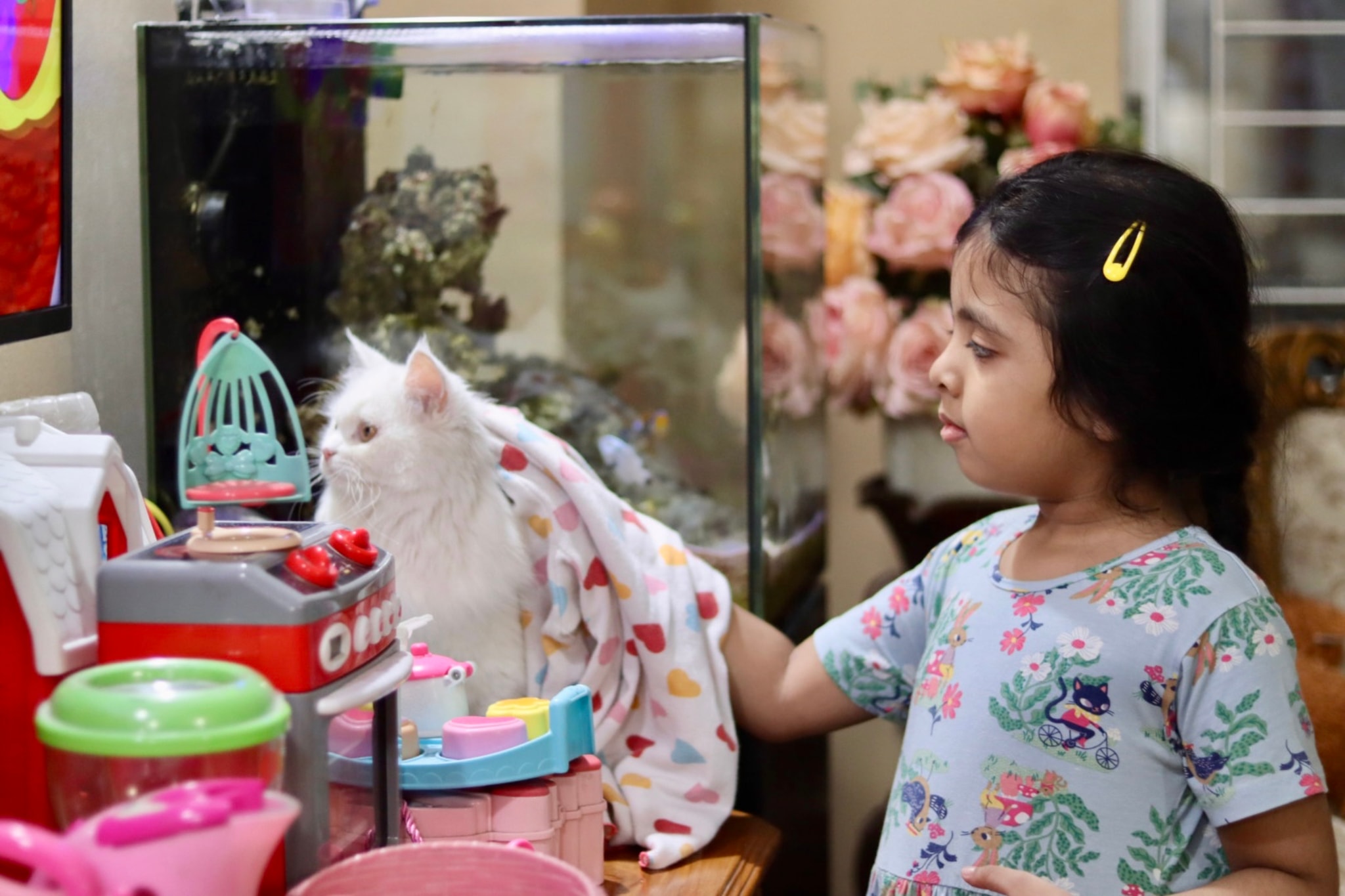 The image depicts a young child, likely a girl, standing next to an indoor glass tank containing a cat. The child appears to be interacting with the cat, as their hand is extended towards it. In front of them, on a table, there are various items including what looks like a toy or decorative item shaped like a bird and possibly some play-related objects. To the right, partially visible, is an adult's profile, but only their left side is shown. The background suggests this is taking place indoors in a domestic setting, with elements of daily life such as furniture and household items.