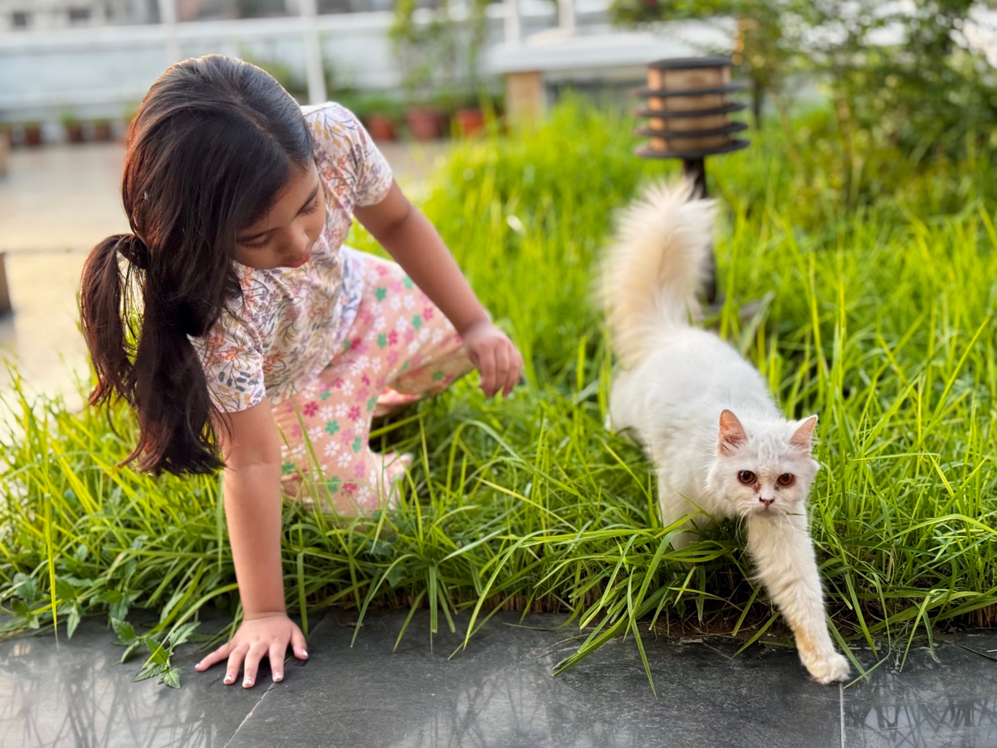 The image features a young girl playing with a cat in what appears to be a garden. The cat is running on top of a lush green lawn, and the child is reaching out towards it, possibly trying to catch or pet the cat. Both are engaged in an outdoor activity, likely enjoying a sunny day.