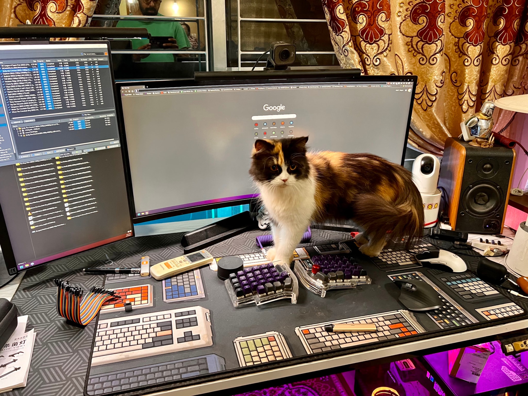 The image captures a scene of a home office setup. At the center of the frame, there's a cat sitting on a computer desk. The cat appears to be looking towards the viewer, adding a touch of life to the otherwise tech-focused environment.

The desk is equipped with various electronic devices and accessories. Multiple monitors are arranged in a semi-circle, suggesting a workspace designed for multitasking or managing multiple tasks at once. A keyboard and mouse are also visible on the desk, indicating active use of the computer.

In addition to the tech equipment, there's a plant adding a touch of greenery to the space. The background features a wall adorned with decorative items, providing a personal touch to the office setup.

Overall, the image portrays a modern and dynamic workspace where technology meets life in the form of pets.