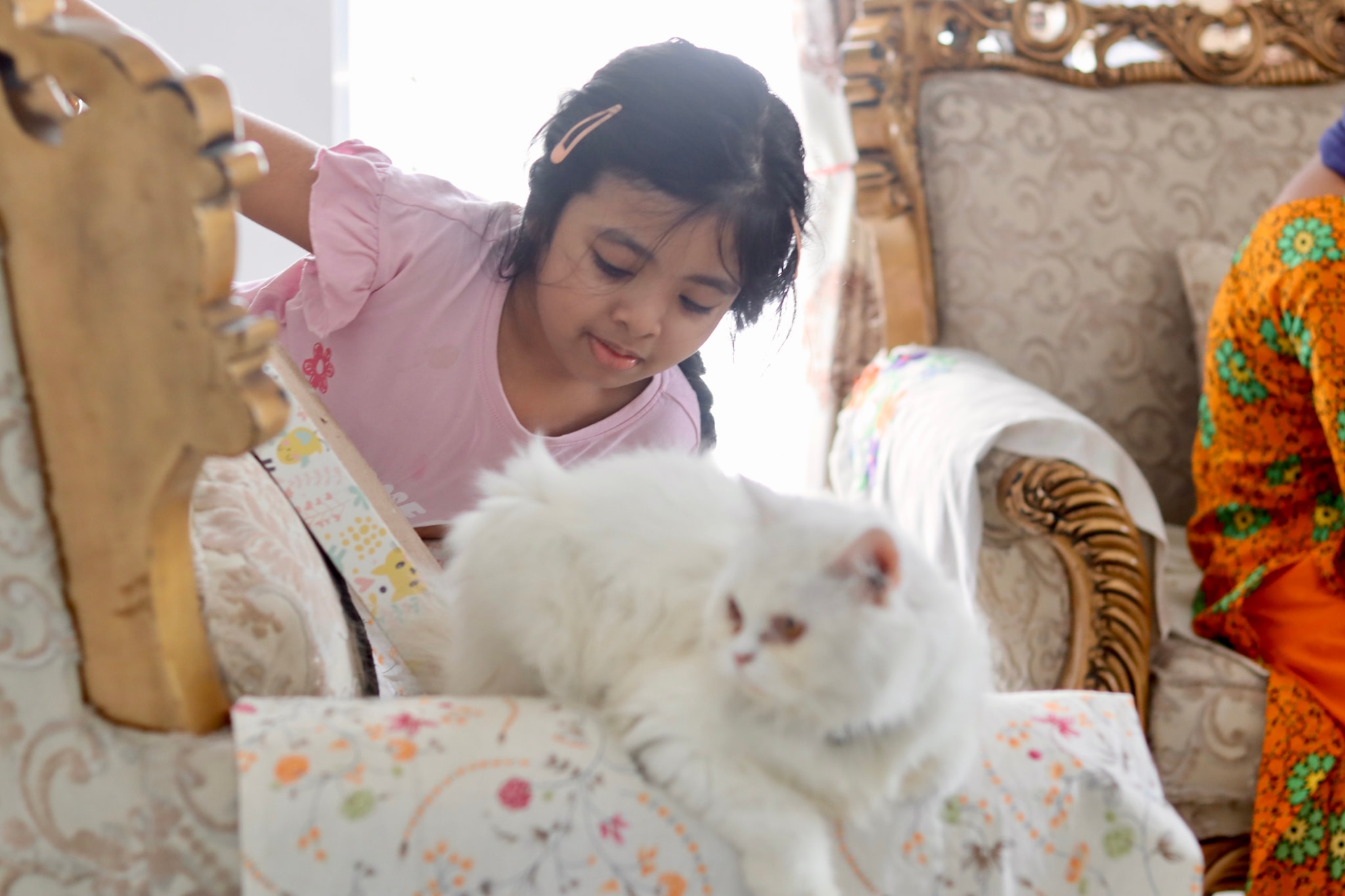 The image depicts an indoor scene with a young child seated on a couch, focused on a small white cat lying on its side nearby. Behind them, there's a framed photograph, possibly a family portrait, featuring multiple people. To the right, a woman wearing a patterned blouse is partially visible; she appears to be looking at something outside the frame, away from the child and cat. The room has ornate furnishings, including a chandelier and elaborate wall decorations, and there's light wood flooring.