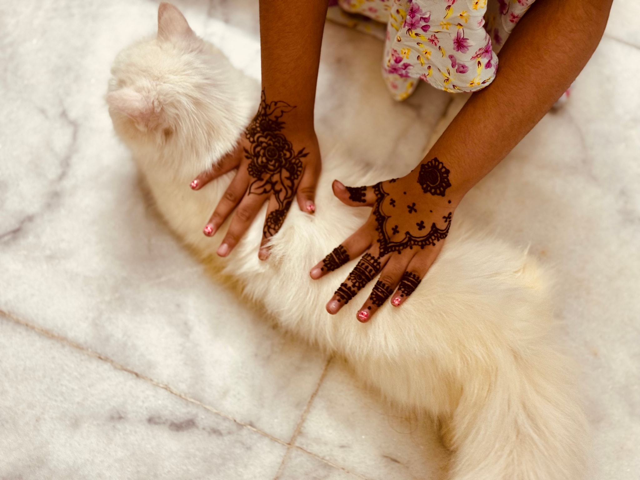 The image depicts a person, possibly female, sitting on the floor next to a white cat. The individual appears to be engaging in some form of grooming or petting as they have henna designs on their hands. They are looking down at the cat and seem to be interacting with it gently. The setting is indoors with a marble-patterned floor, and there's a subtle blur of another person's hand visible in the lower left corner.